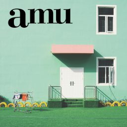Artwork for amu radio