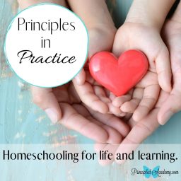 Artwork for Principles In Practice: Biblical Classical Homeschooling