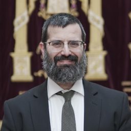 Artwork for Rabbi Meir Riber