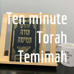 Artwork for Ten minute Torah Temimah