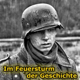 Artwork for Im Feuersturm der Geschichte