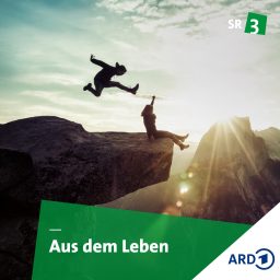 Artwork for Aus dem Leben