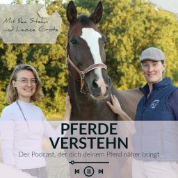 Artwork for Pferde verSTEHN