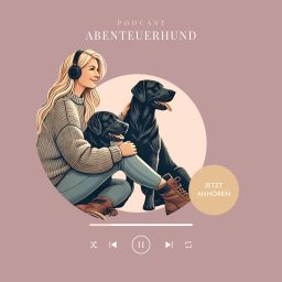 Artwork for Abenteuer Hund