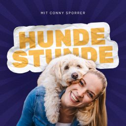 Artwork for HUNDESTUNDE