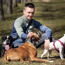 Artwork for Hunde besser verstehen