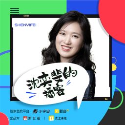 Artwork for 沈奕斐的播客