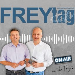 Artwork for FREYtag