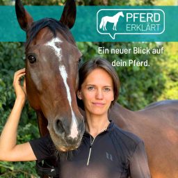 Artwork for Pferd erklärt