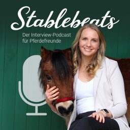 Artwork for Stablebeats