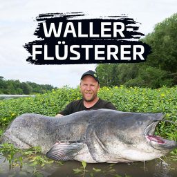 Artwork for Waller-Flüsterer