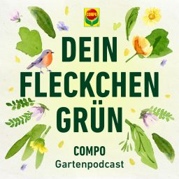 Artwork for Dein Fleckchen Grün