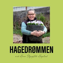 Artwork for Hagedrømmen