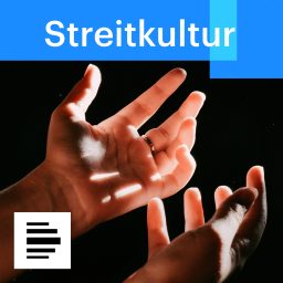 Artwork for Streitkultur