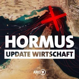 Artwork for Straße von Hormus - Ein Wirtschaftsupdate