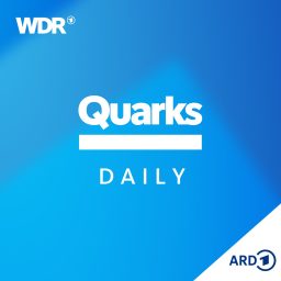Artwork for Quarks Daily