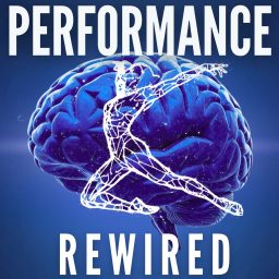Artwork for Performance Rewired
