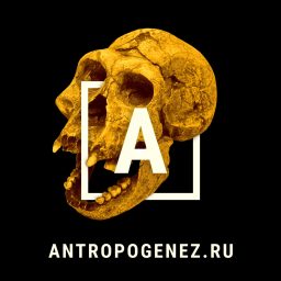 Artwork for АНТРОПОГЕНЕЗ.РУ