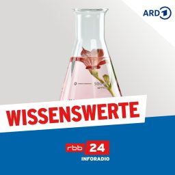 Artwork for Wissenswerte