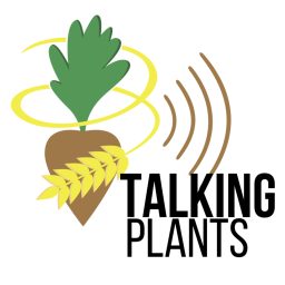 Artwork for TalkingPlants