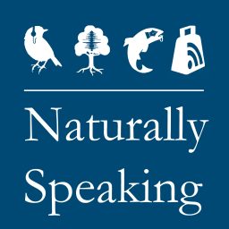 Artwork for Naturally Speaking
