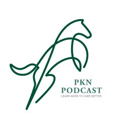 Artwork for PKN Podcast
