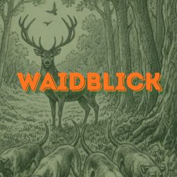 Artwork for WAIDBLICK