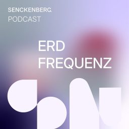 Artwork for Erdfrequenz