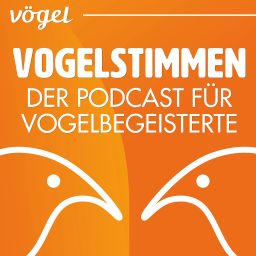 Artwork for Vogelstimmen