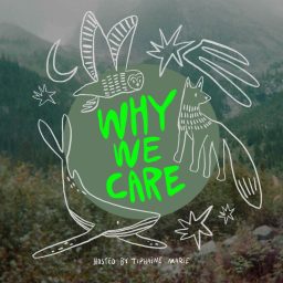 Artwork for Why We Care