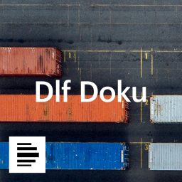 Artwork for Dlf Doku