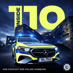 Artwork for Inside 110