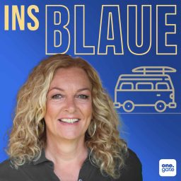 Artwork for Ins Blaue