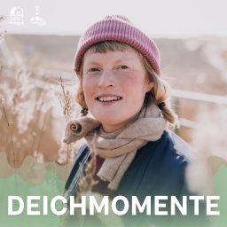 Artwork for Deichmomente