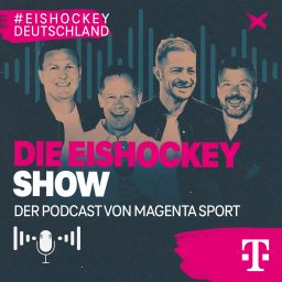 Artwork for Die Eishockey Show