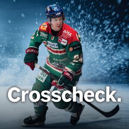 Artwork for Crosscheck - der AEV-Podcast
