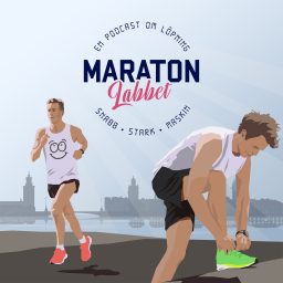 Artwork for Maratonlabbet