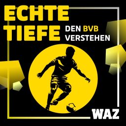 Artwork for Echte Tiefe – den BVB verstehen