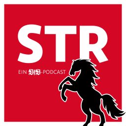 Artwork for VfB STR