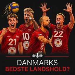 Artwork for Danmarks bedste landshold?