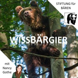 Artwork for WissBärGier