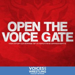 Artwork for Open the Voice Gate