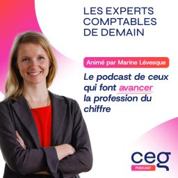 Artwork for Les Experts-Comptables de demain !