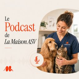 Artwork for La Maison ASV