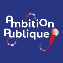 Artwork for AmbitionPublique