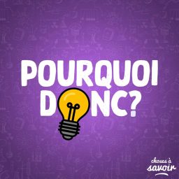 Artwork for Pourquoi donc ?