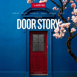 Artwork for Door Story