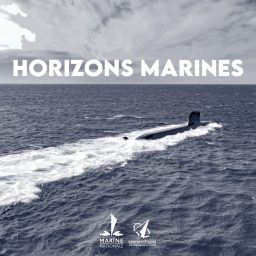 Artwork for Horizons Marines