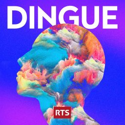 Artwork for Dingue ‐ RTS