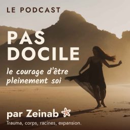 Artwork for PAS DOCILE